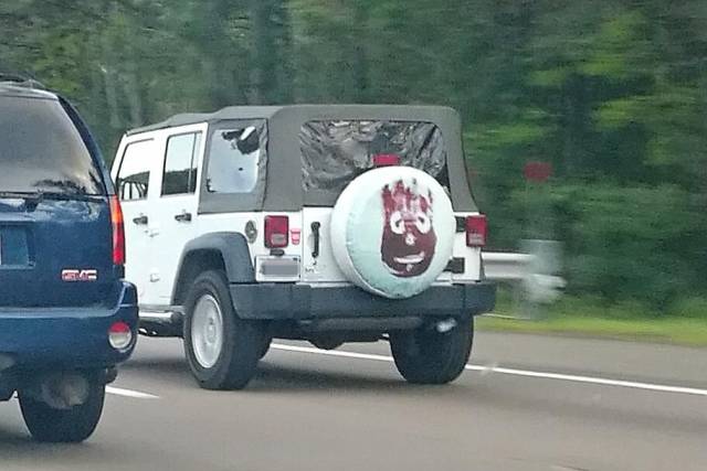 picdump_2566_15.jpg