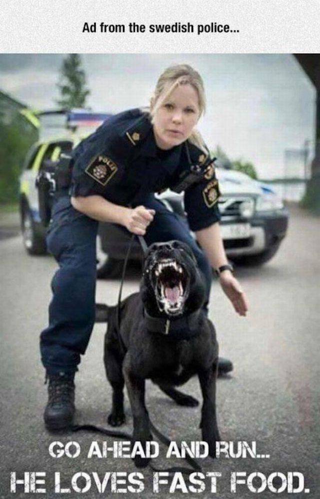 picdump_2569_64.jpg