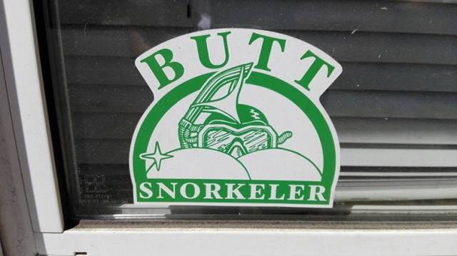 picdump_2581_57.jpg