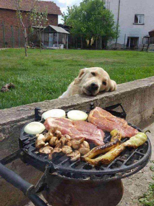 picdump_2621_12.jpg