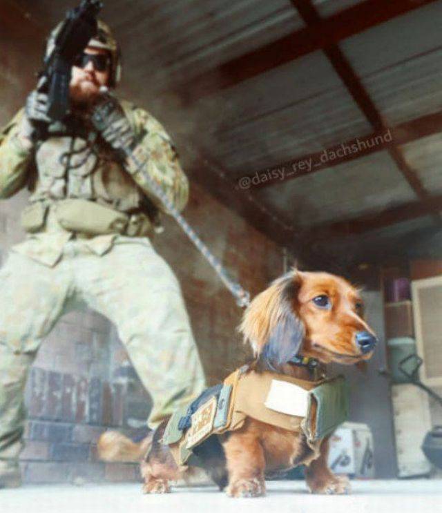 picdump_2638_06.jpg