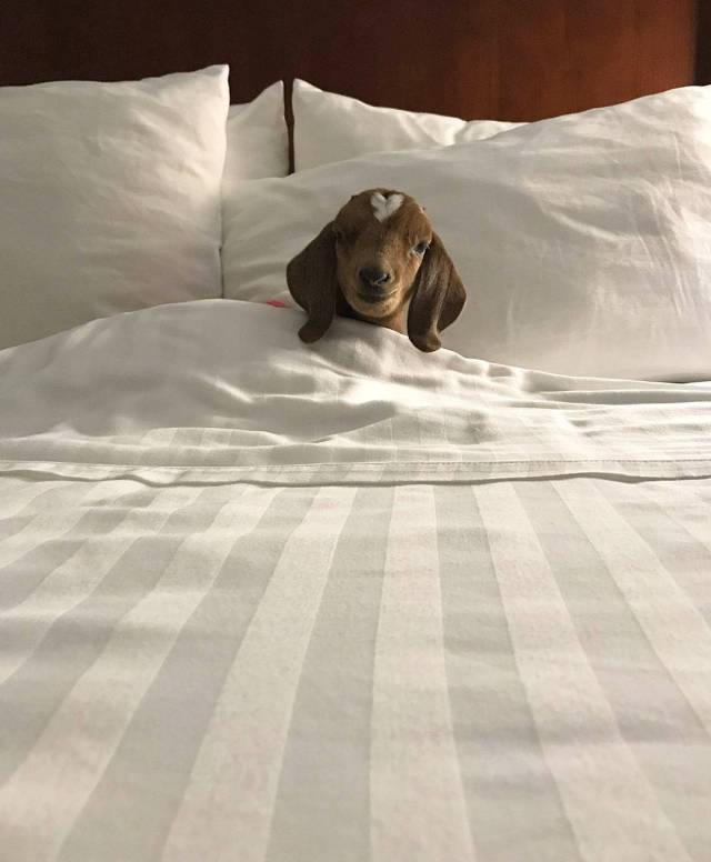 picdump_2639_17.jpg