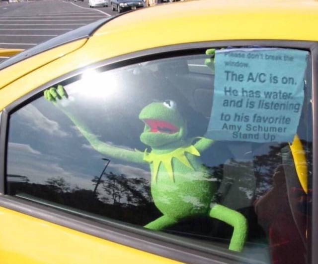 picdump_2640_40.jpg