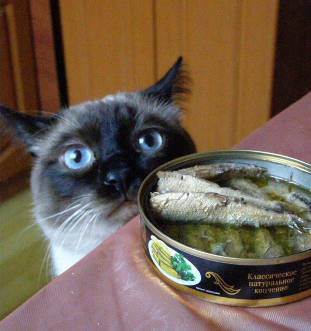 picdump_2646_92.jpg