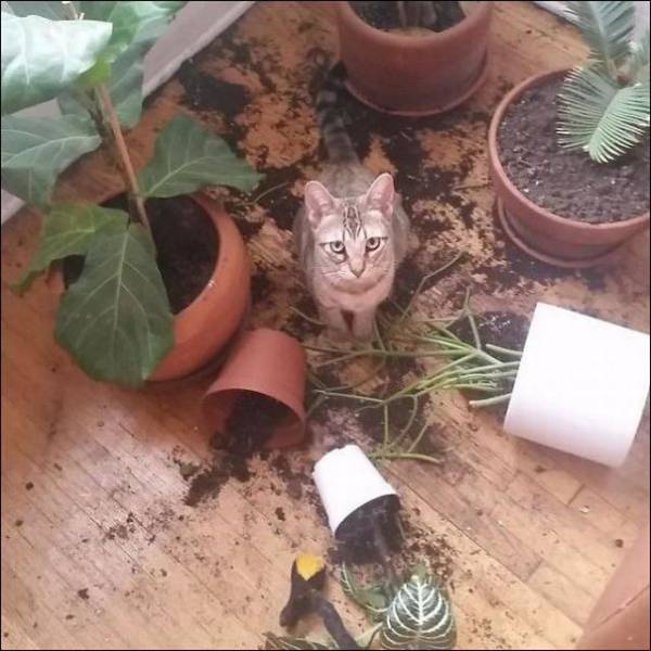 picdump_2657_04.jpg