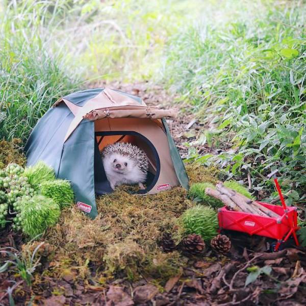 picdump_2659_44.jpg