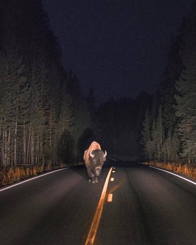 picdump_2678_29.jpg