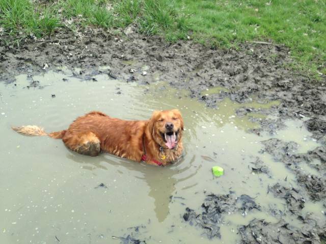 picdump_2683_29.jpg