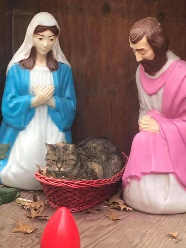 picdump_2686_07.jpg
