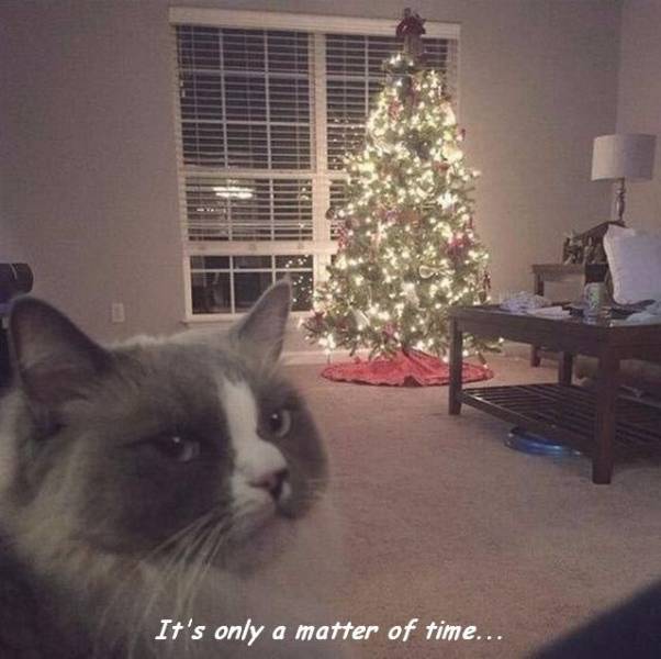 picdump_2687_23.jpg
