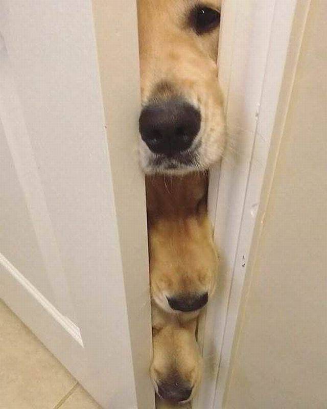 picdump_2731_90.jpg