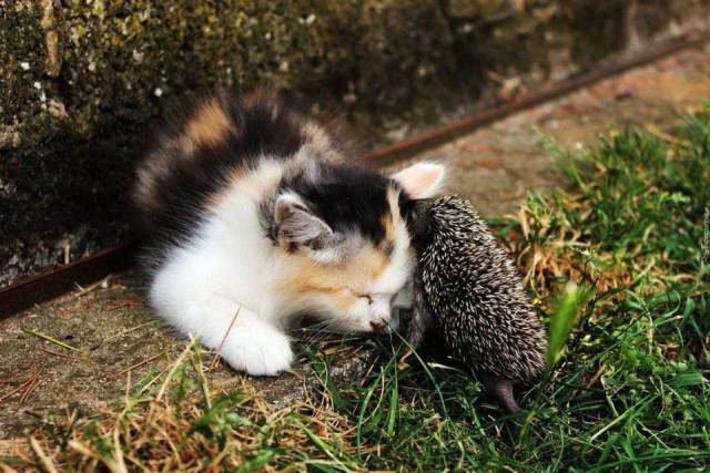 picdump_2735_10.jpg