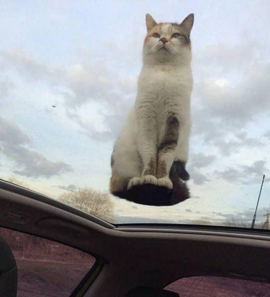 picdump_2737_01.jpg