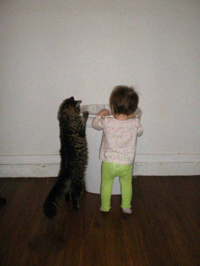 picdump_2743_30.jpg