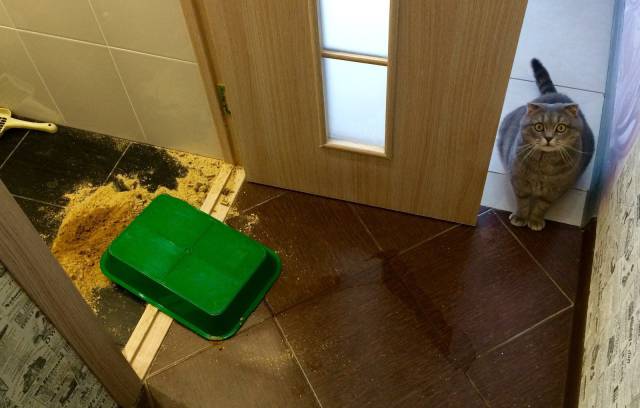picdump_2759_18.jpg