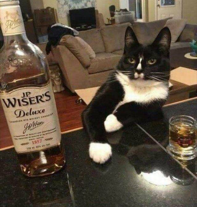 picdump_2768_59.jpg