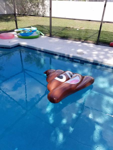 picdump_2787_50.jpg