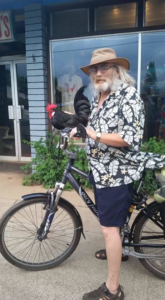 picdump_2795_23.jpg