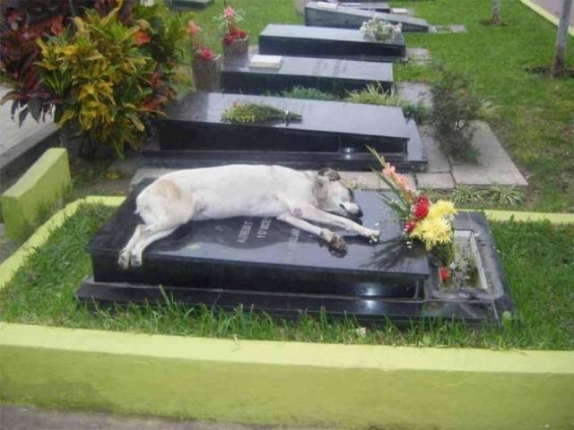 picdump_2797_35.jpg