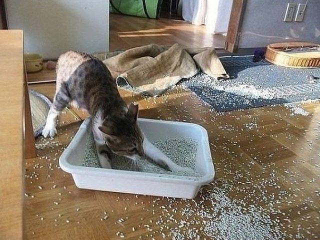 picdump_2806_16.jpg