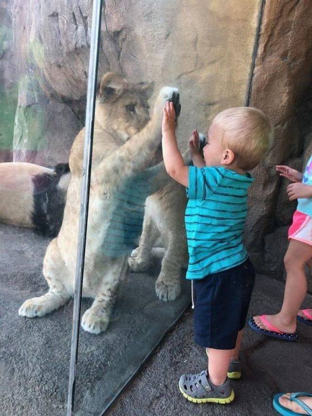 picdump_2823_38.jpg