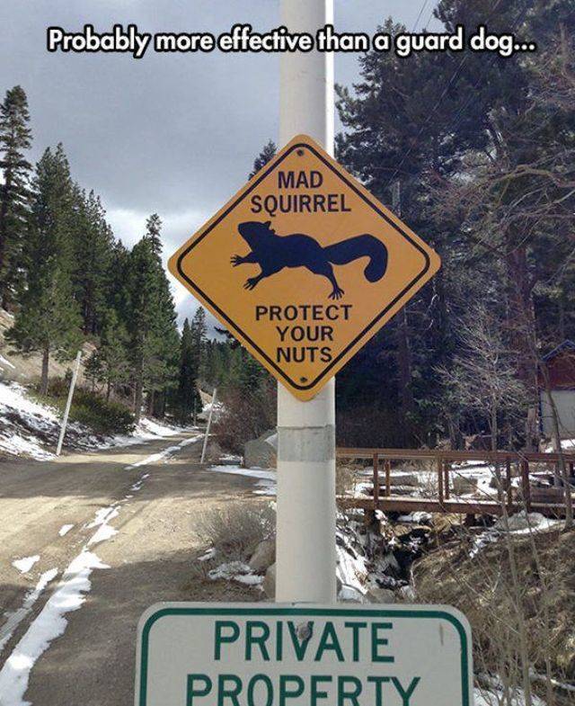 picdump_2825_43.jpg