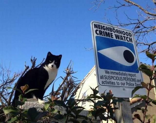 picdump_2830_39.jpg