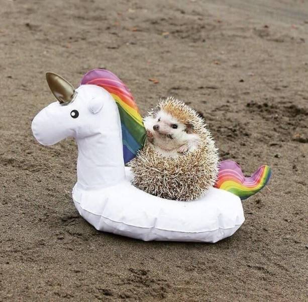 picdump_2871_52.jpg