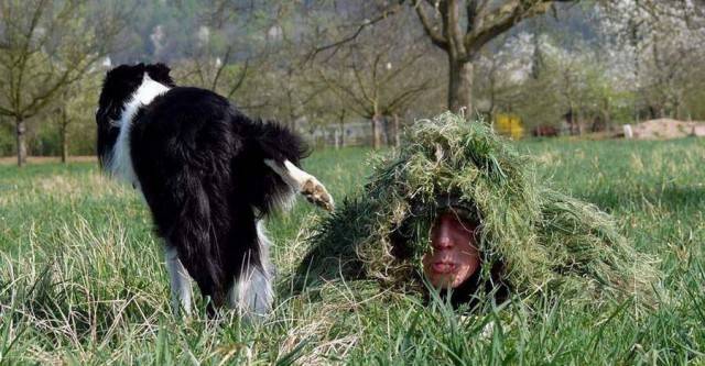 picdump_2911_13.jpg
