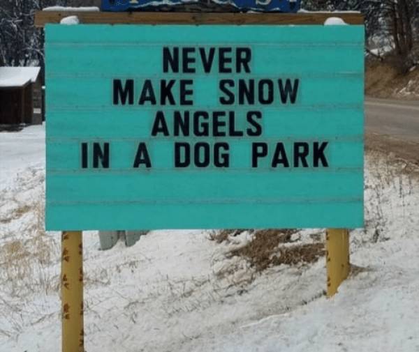 picdump_2932_40.jpg