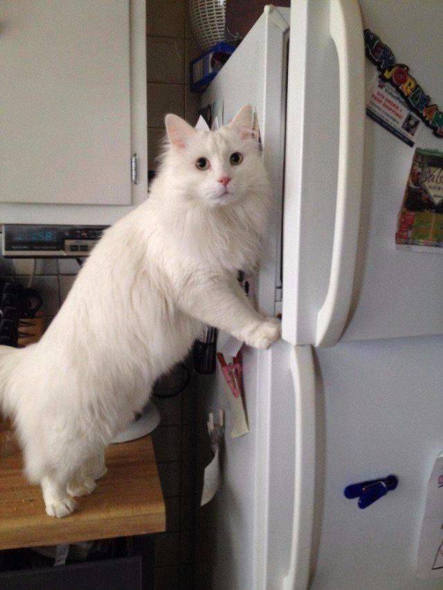 picdump_2940_72.jpg