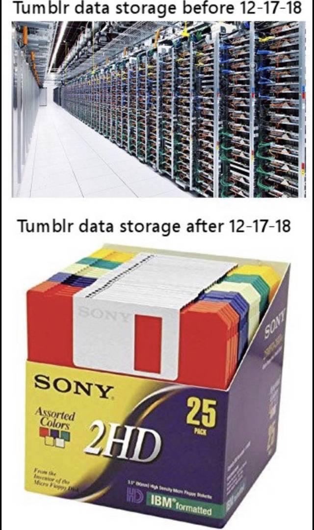 picdump_2941_11.jpg