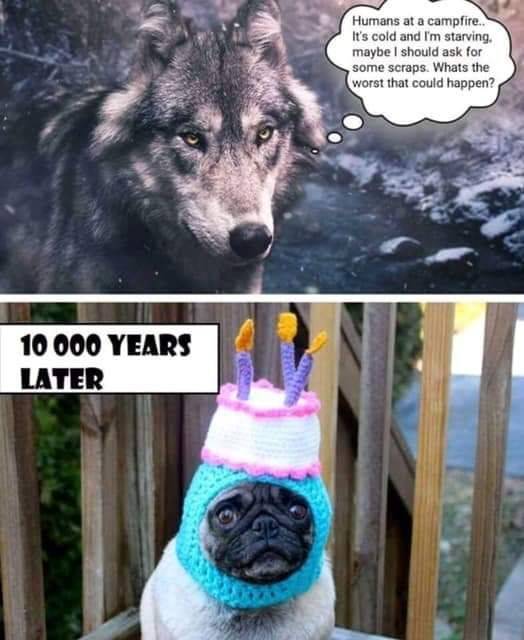 picdump_2946_50.jpg
