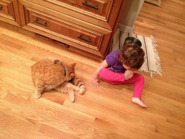 picdump_2948_60.jpg