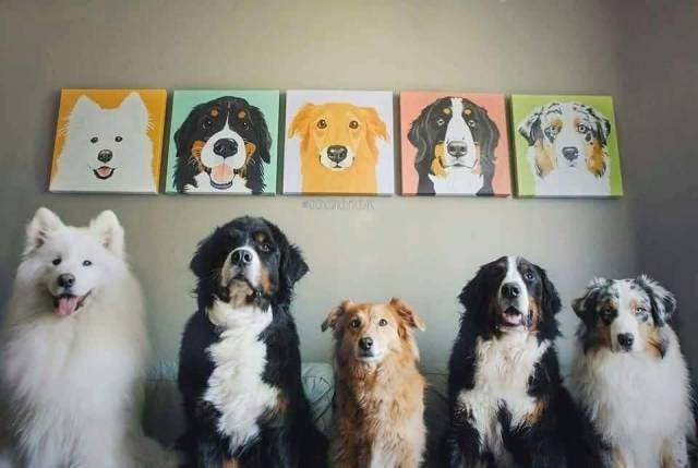 picdump_2953_50.jpg