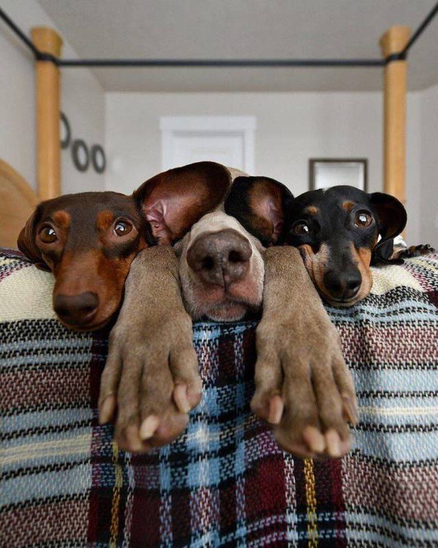 picdump_2964_91.jpg
