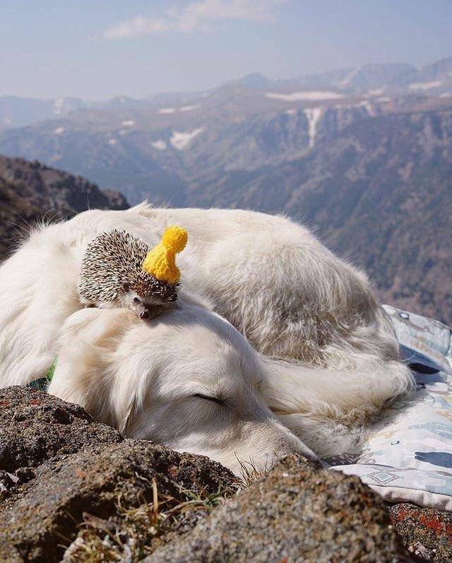 picdump_2973_34.jpg