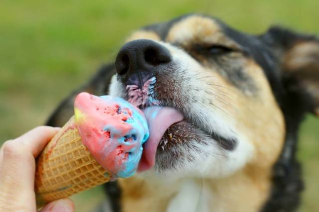 picdump_2975_95.jpg