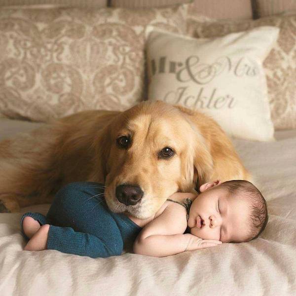 picdump_3003_23.jpg