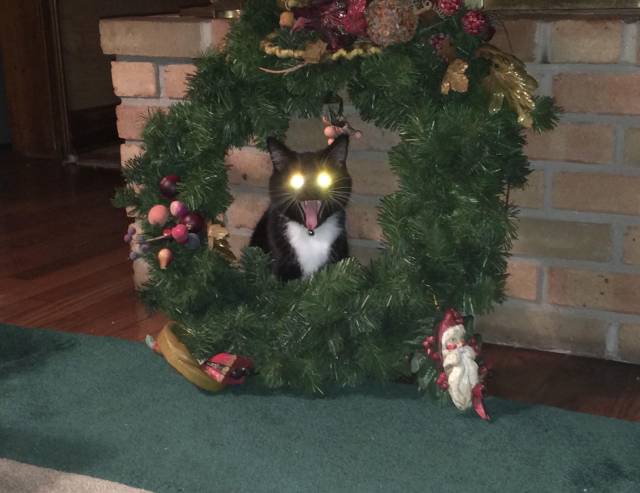 picdump_3012_10.jpg