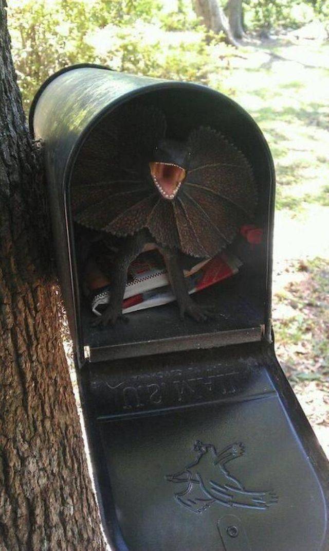 picdump_3016_33.jpg