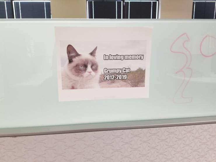 picdump_3138_12.jpg