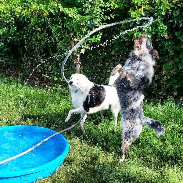 picdump_3174_07.jpg