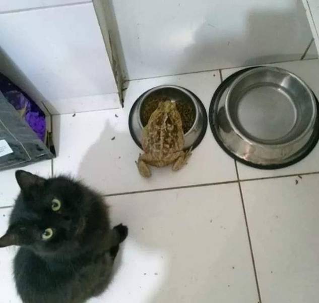 picdump_3176_24.jpg