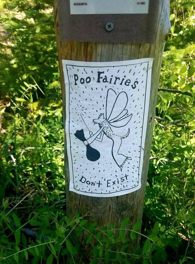 picdump_3221_52.jpg