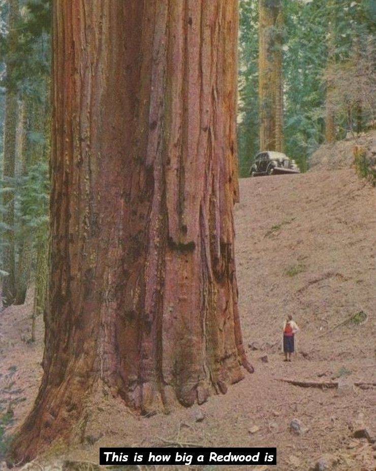 picdump_3224_85.jpg