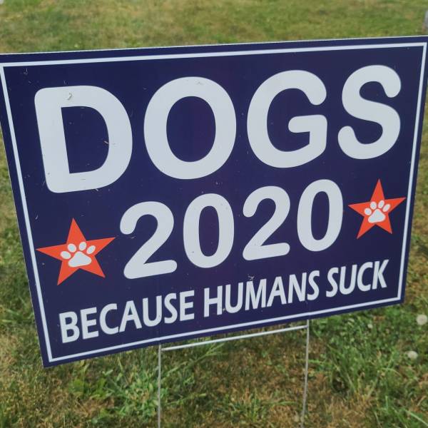 picdump_3246_08.jpg