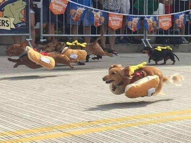 picdump_3254_48.jpg
