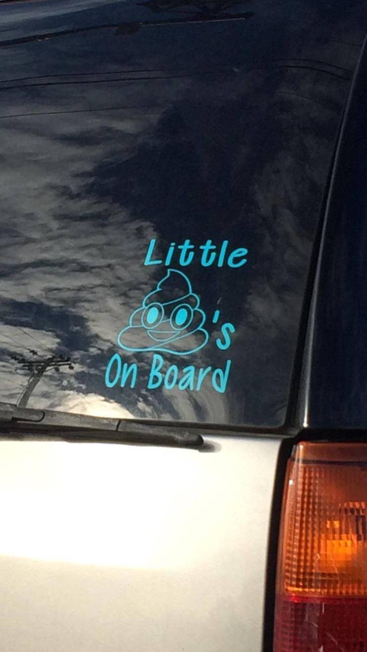 picdump_3275_80.jpg