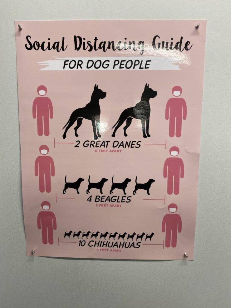 picdump_3615_14.jpg